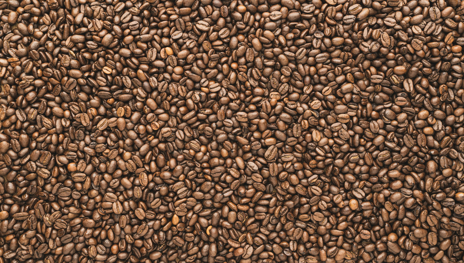 Mauris et justo ut risus sodales