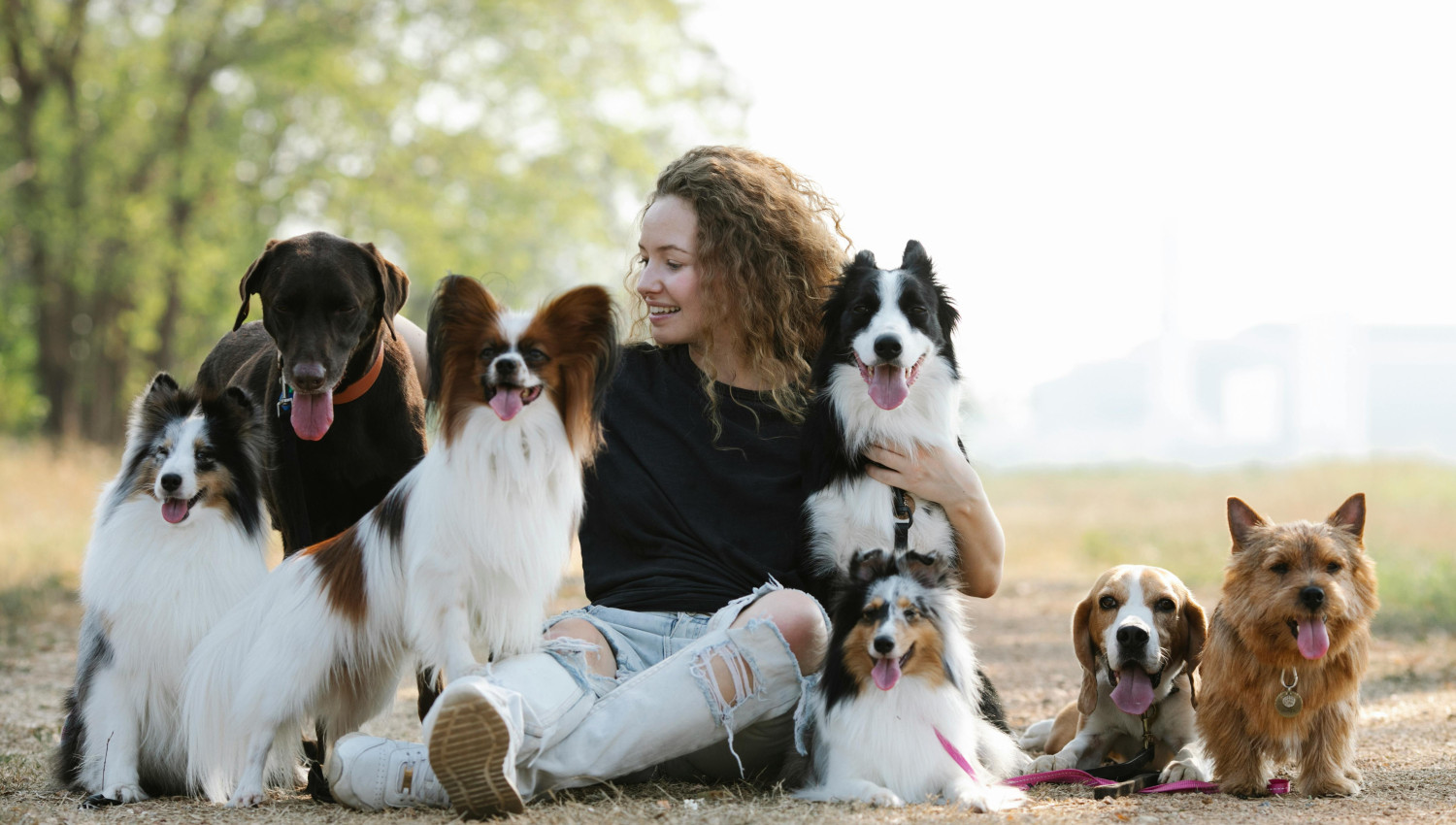 Perfect for your Dog Walking Services